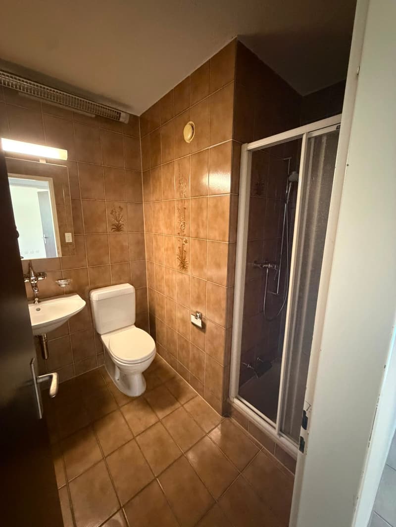 Grosszügige 5.5-Zimmer-Wohnung zur befristeten Miete bis 31.03.2027 (6)