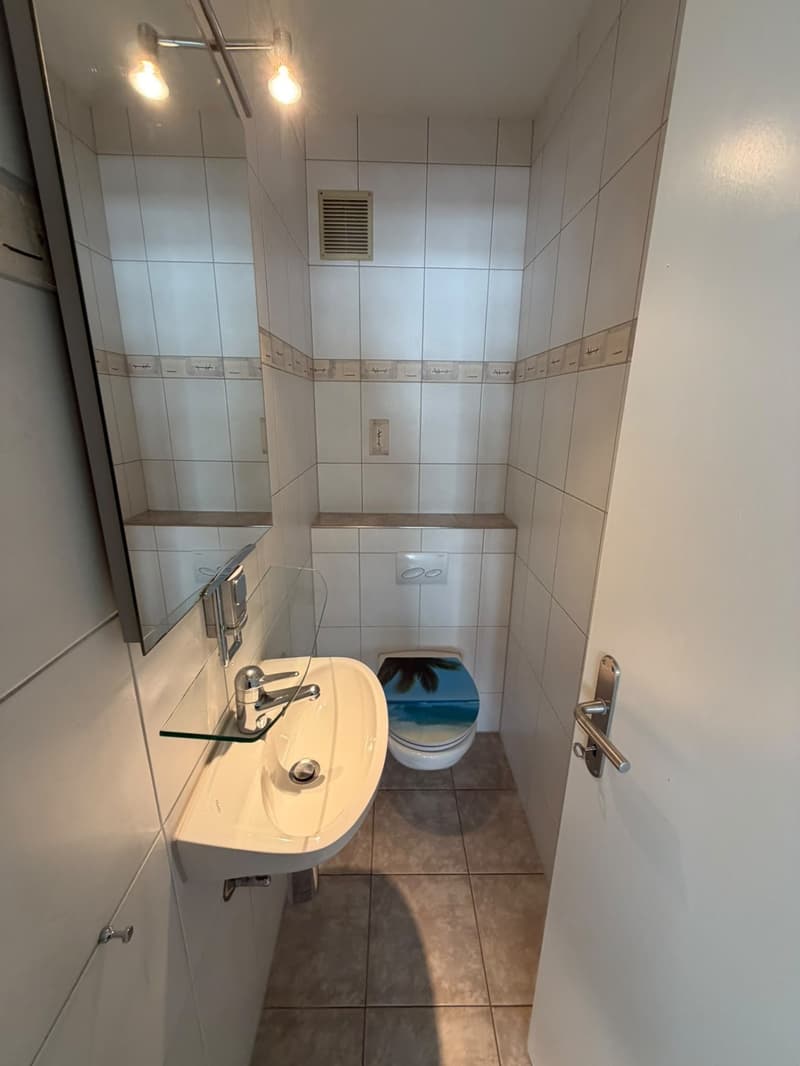 Grosszügige 4.5-Zimmer-Wohnung zur befristeten Miete bis 31.03.2027 (2)