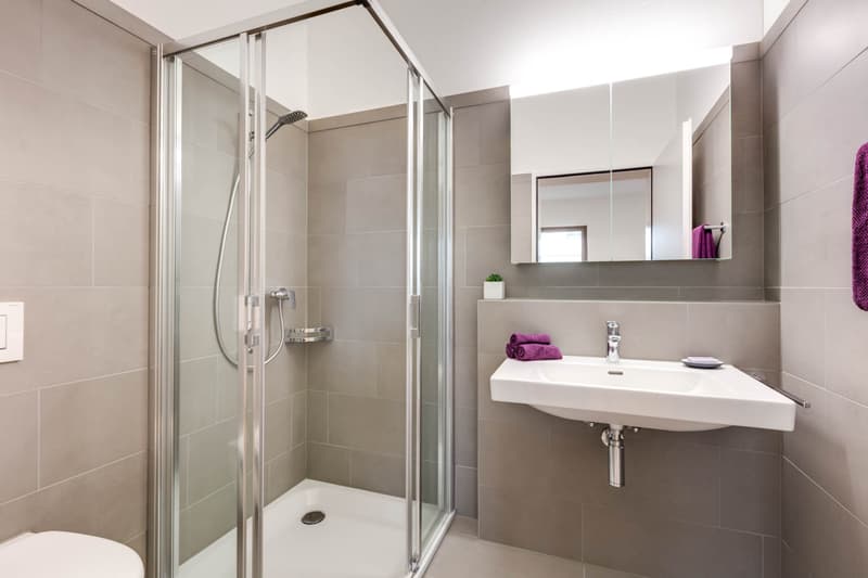 Moderne, helle Wohnung an idealer Lage (5)