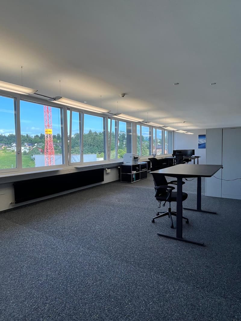 Vielseitige Büro-/Gewerbeflächen mit zentraler Anbindung (4)