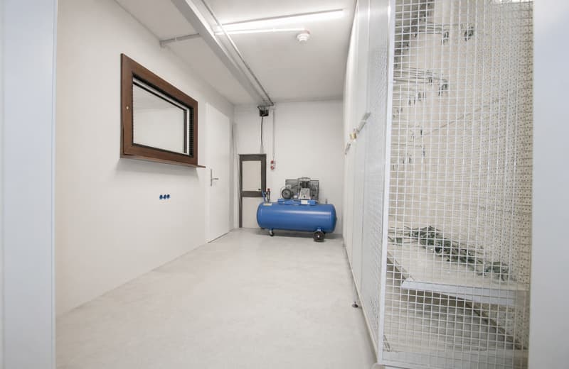 Vielseitige Werkstatt an attraktiver Lage in St. Gallen (4)