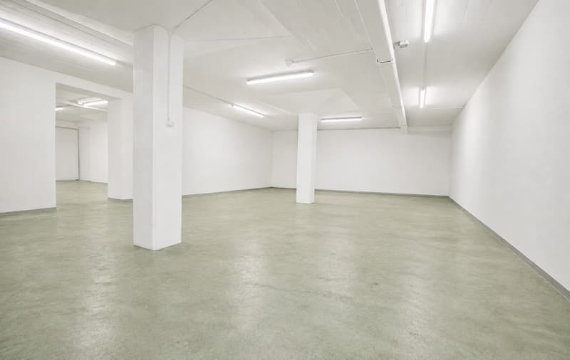 Vielseitige Werkstatt an attraktiver Lage in St. Gallen (2)