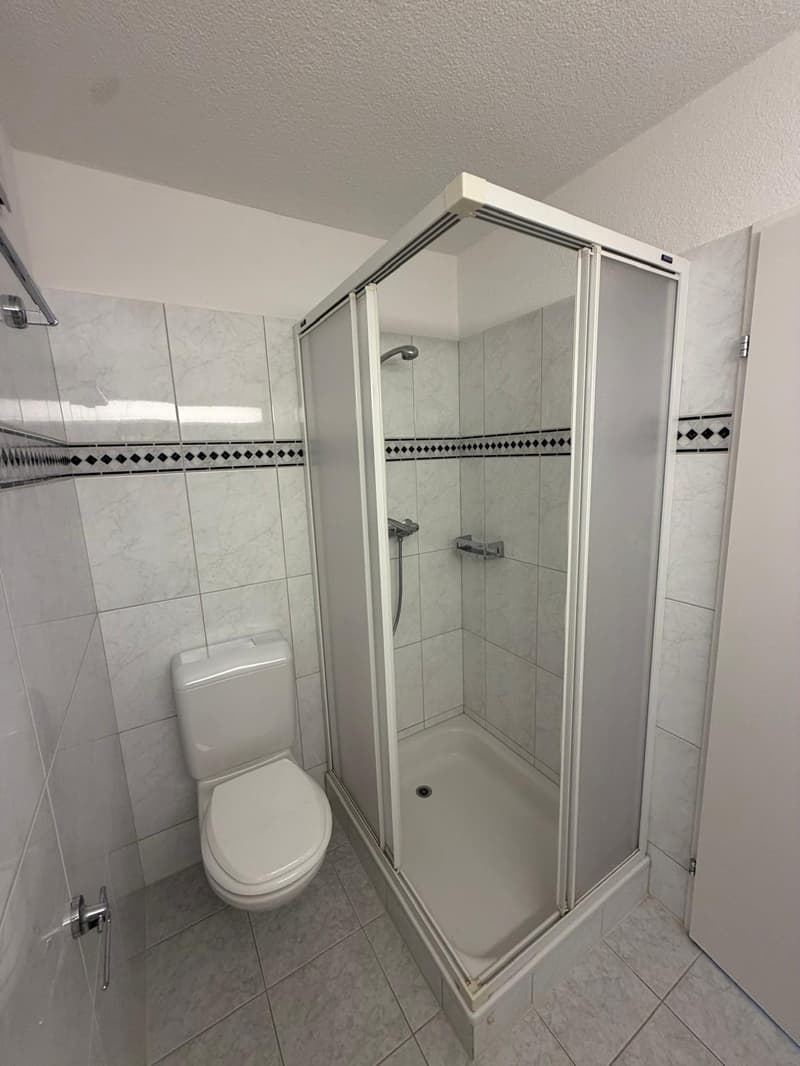 Grosszügige 4.5-Zimmer-Wohnung zur befristeten Miete bis 31.08.2027 (10)