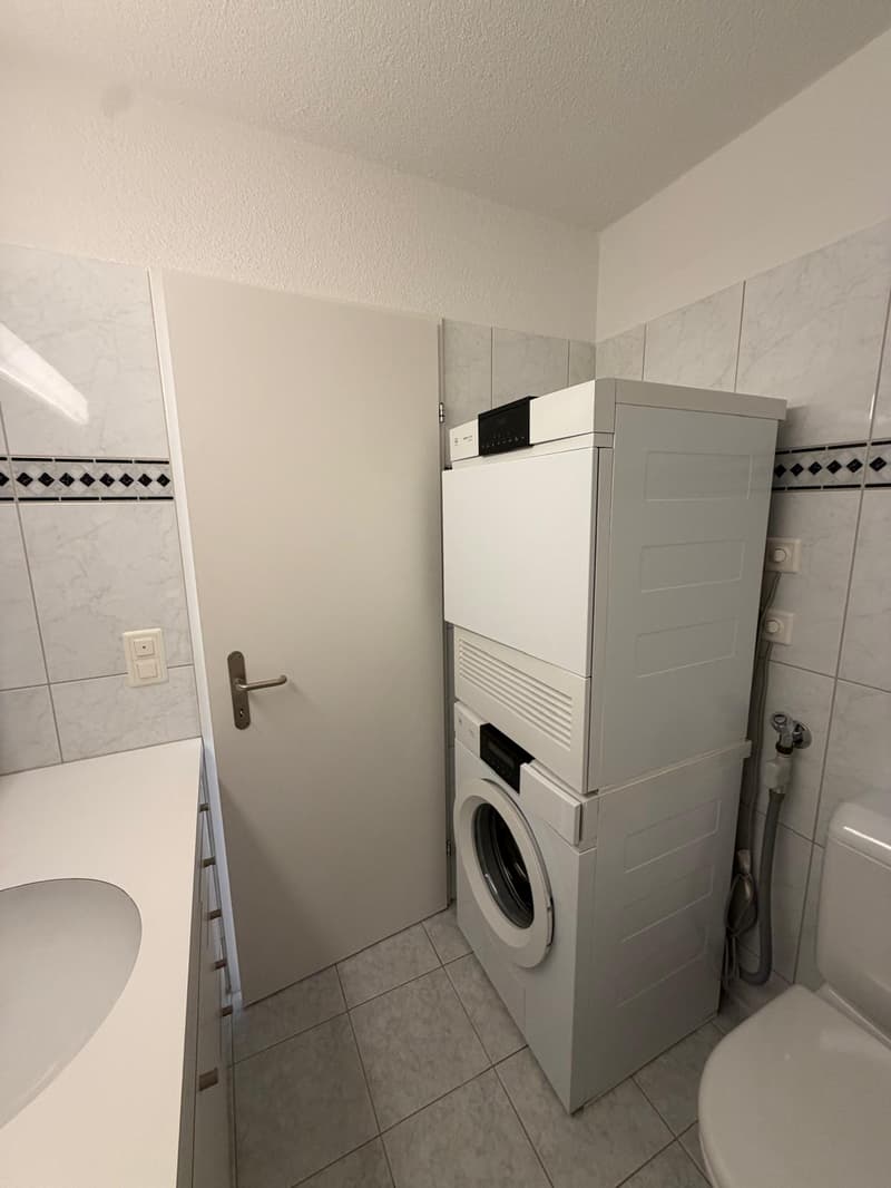 Grosszügige 4.5-Zimmer-Wohnung zur befristeten Miete bis 31.08.2027 (8)