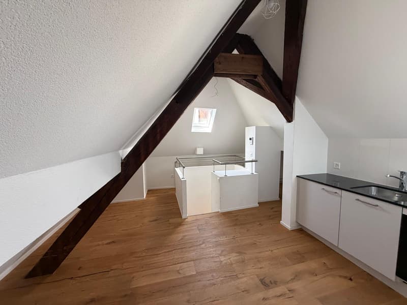 Attraktive 3.5-Zimmer-Wohnung mit zusätzlicher Dachgeschosswohnung (3)