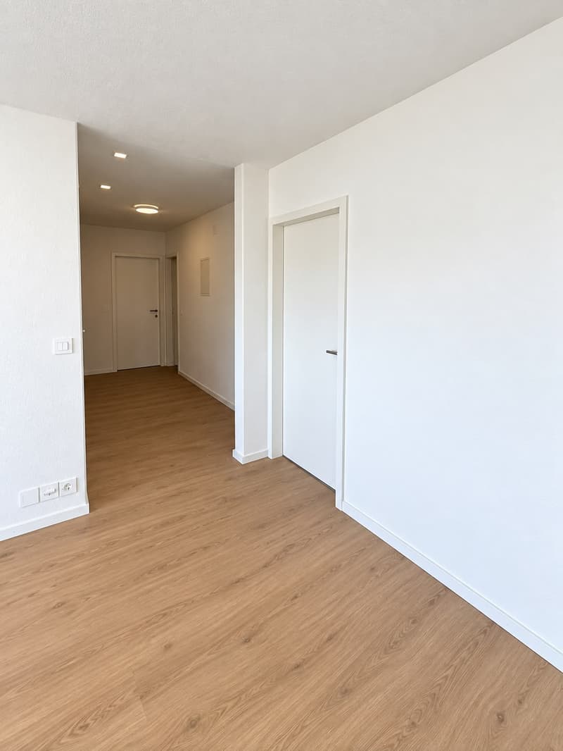 Erstvermietung - 5.5-Zimmer-Attika-Wohnung mit Terrasse (7)