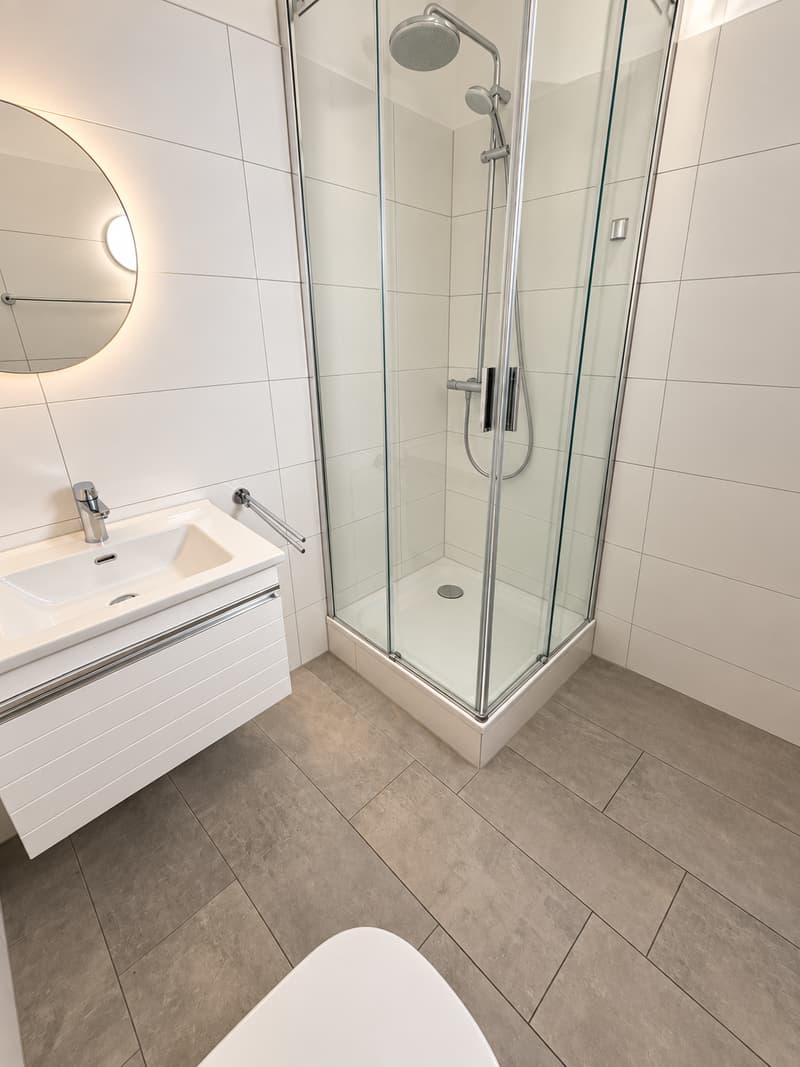 2 in 1: 3.5-Zimmer-Wohnung mit eigener Dachgeschosswohnung (5)