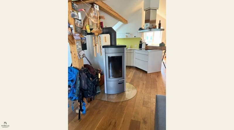 Charmante Dachwohnung mit Schwedenofen und Aussicht ins Grüne (4)