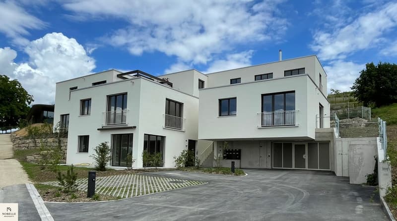 Modernes Wohnen mit grosszügigem Aussenbereich (15)