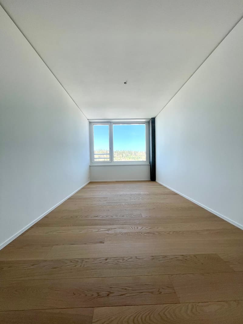 Exklusive 4.5 Zimmer Wohnung im Rhyfall Tower mit Rheinblick (8)