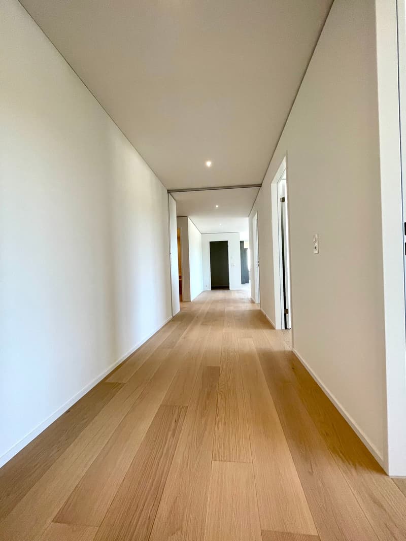 Exklusive 4.5 Zimmer Wohnung im Rhyfall Tower mit Rheinblick (7)