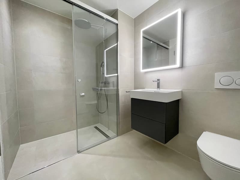 Exklusive 4.5 Zimmer Wohnung im Rhyfall Tower mit Rheinblick (11)