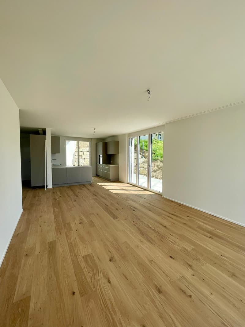 Wohnen mit Weitblick | Moderne 2.5 Zimmer Neubauwohnung mit grosser Terrasse (4)