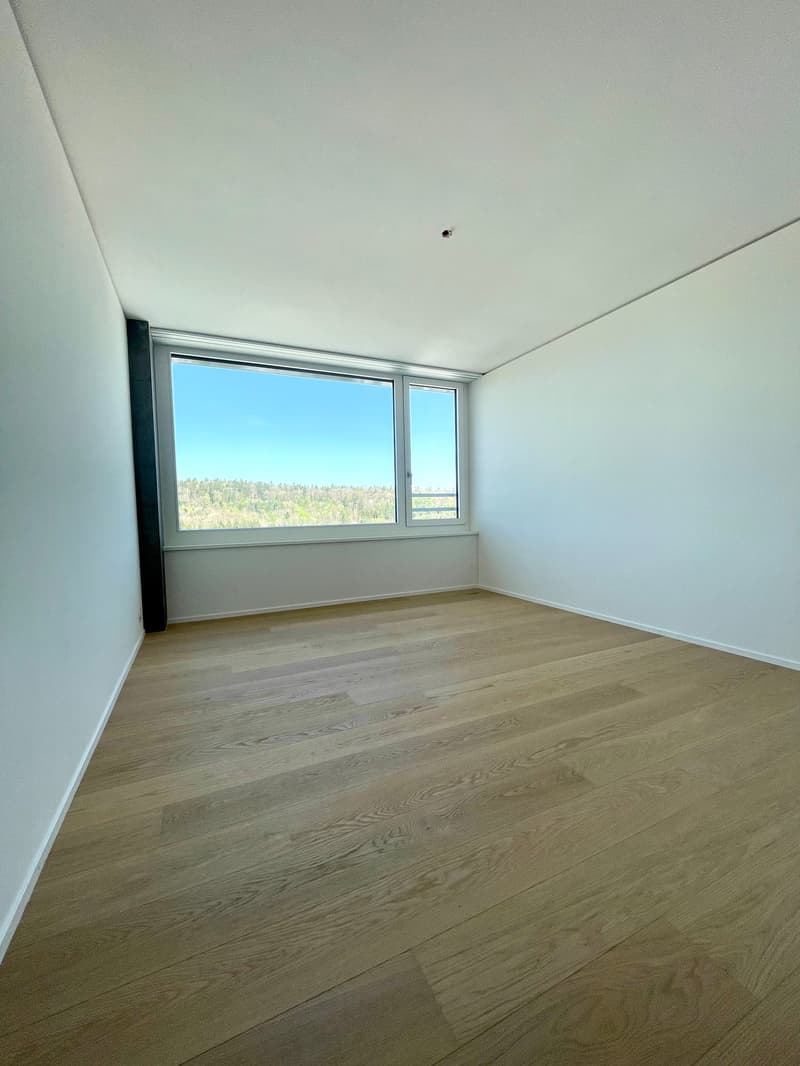 NEU: Exklusive 4.5 Zimmer Wohnung im Rhyfall Tower mit Rheinblick (9)
