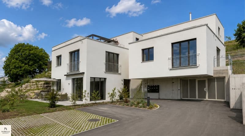 TOP: Business Apartment in Dachsen (7)