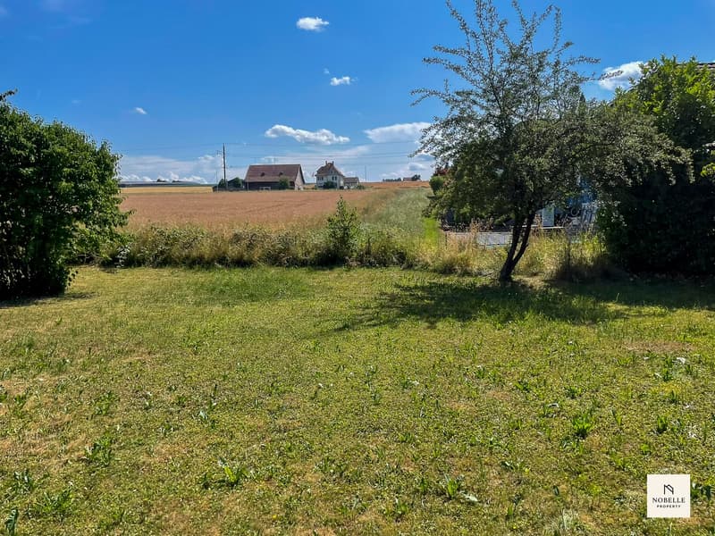 NEU: Charmantes Einfamilienhaus in Kesswil – Sofort verfügbar! (23)