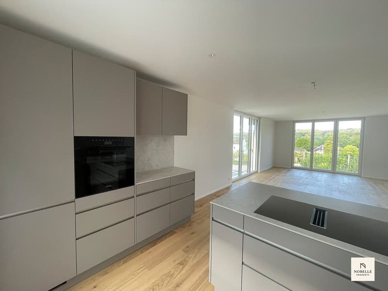 TOP: Moderne 2.5-Zimmer-Wohnung – Neubau, sofort verfügbar (3)