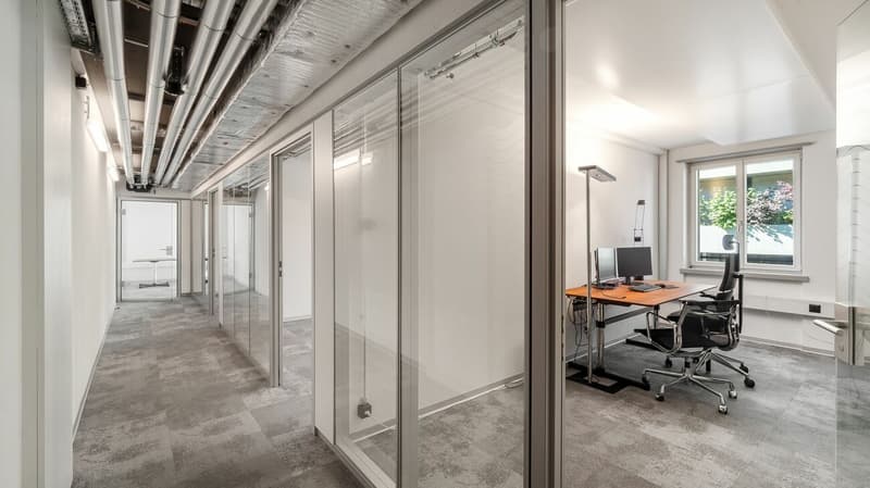 Singletenant Opportunity in geschichtsträchtigem Gebäude (7)