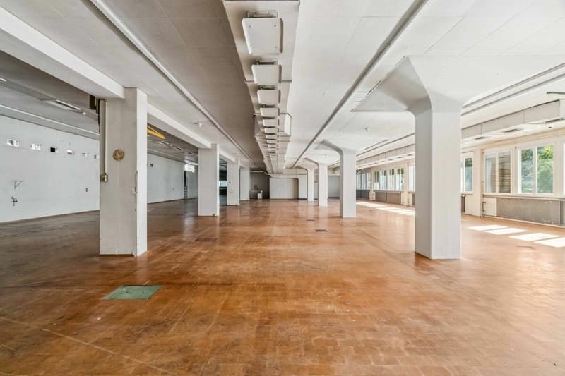 Vitus-Areal - Platz für Macher. (7)