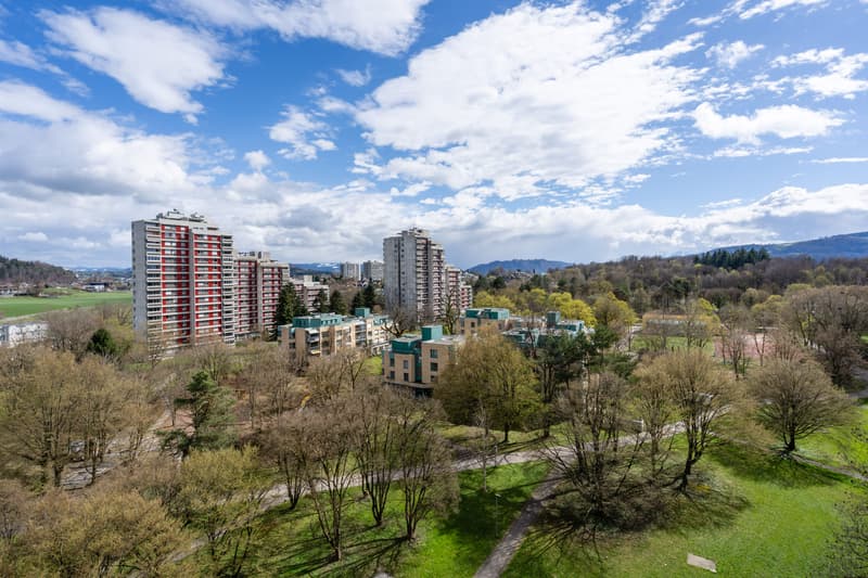 LIVING WITH A PANORAMIC VIEW IN BERN (6)