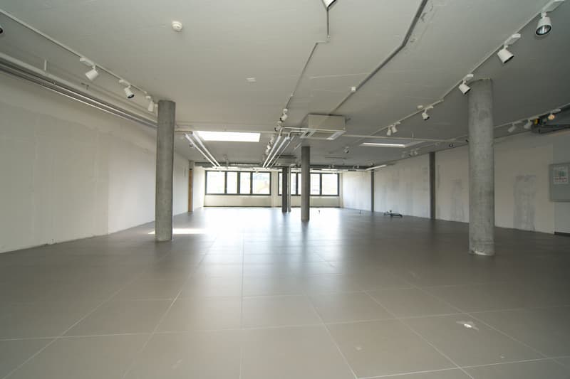 436 m2 Büro- und Dienstleistungsfläche in Köniz - modern und flexibel (3)