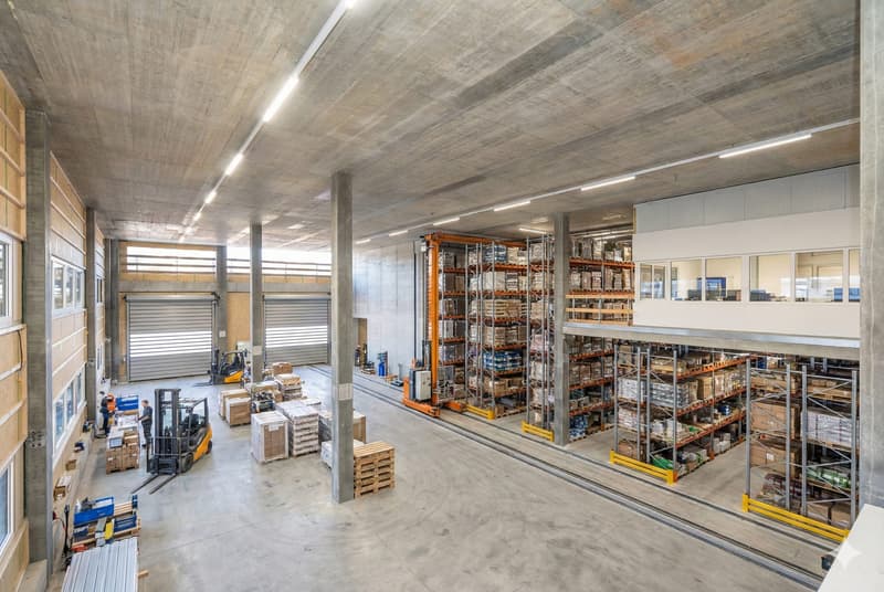 Neubau Gewerbepark NEUHUUS - attraktive Gewerbehalle mit 7.8m Deckenhöhe (3)