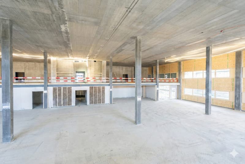Neubau Gewerbepark NEUHUUS - attraktive Gewerbehalle mit 7.8m Deckenhöhe (2)