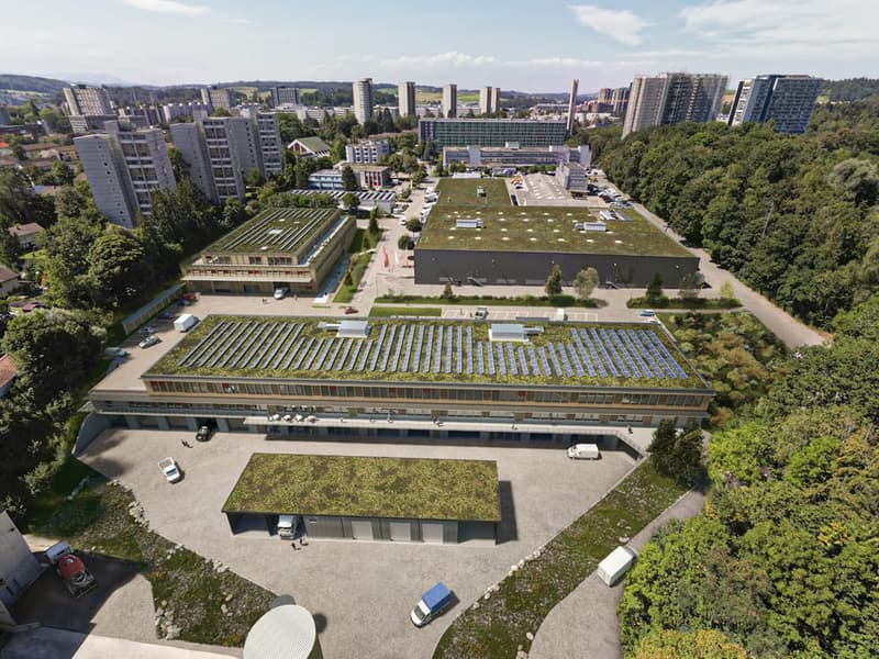 Neubau Gewerbepark NEUHUUS - attraktive Gewerbehalle mit 7.8m Deckenhöhe (4)