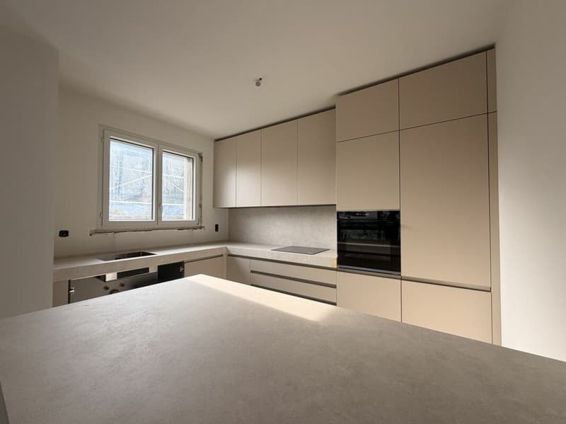 LUGANO-LORETO · RESIDENZA CASSARINETTA · 5.5-ROOM HIGH-END APARTMENT WITH LAKE VIEW (2)