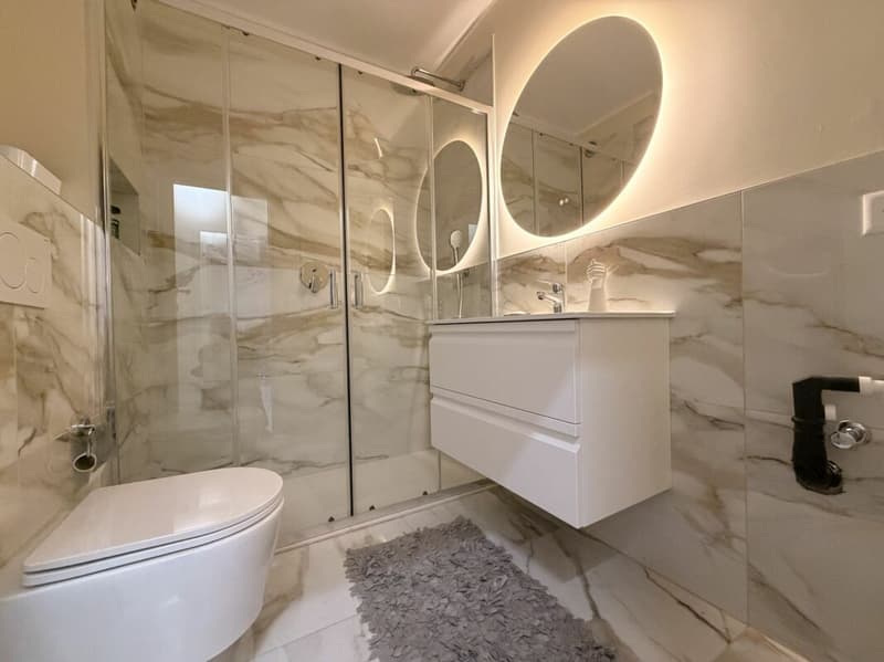 3.5-ROOM APARTMENT WITH BALCONY · TURNKEY · LAKE VIEW (13)