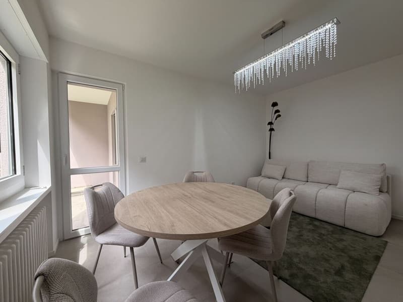 MASSAGNO . 3.5-ROOM APARTMENT . FINELY RENOVATED . PRIVATE GARDEN (4)