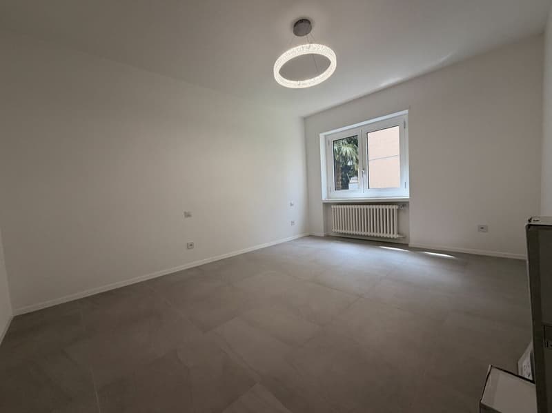 MASSAGNO . 3.5-ROOM APARTMENT . FINELY RENOVATED . PRIVATE GARDEN (7)
