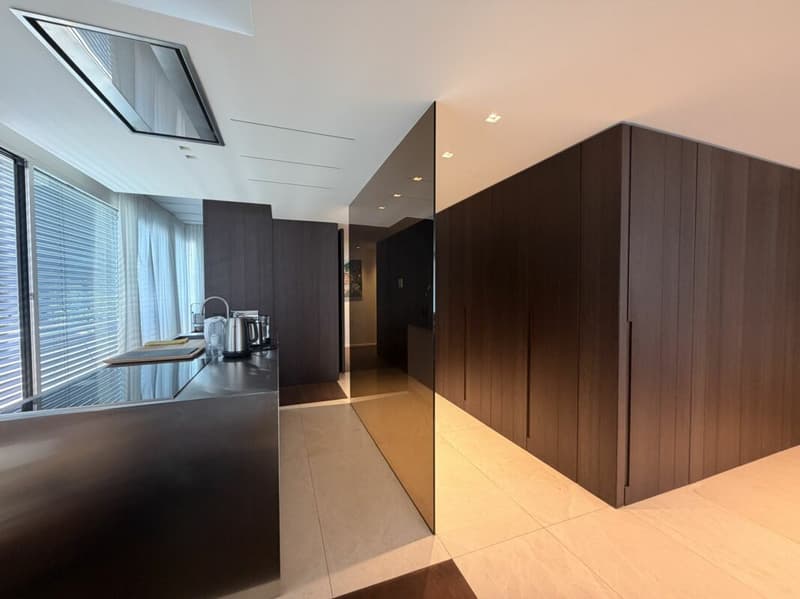 LUGANO - SUPER ATTICO DI RAPPRESENTANZA CON VISTA LAGO - PISCINA CONDOMINIALE NEL RESIDENCE CENTRAL PARK (6)
