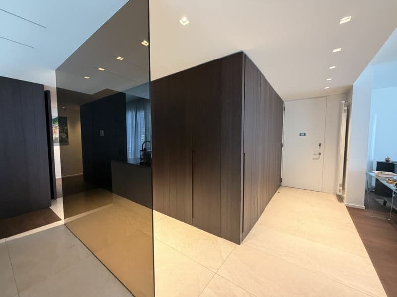 LUGANO - SUPER ATTICO DI RAPPRESENTANZA CON VISTA LAGO - PISCINA CONDOMINIALE NEL RESIDENCE CENTRAL PARK (4)