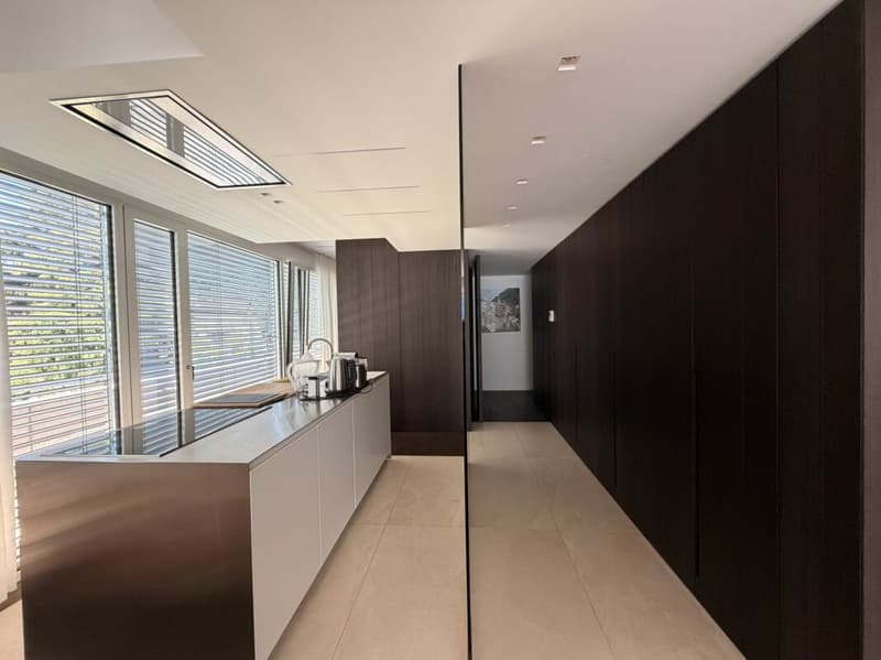 LUGANO - SUPER ATTICO DI RAPPRESENTANZA CON VISTA LAGO - PISCINA CONDOMINIALE NEL RESIDENCE CENTRAL PARK (3)