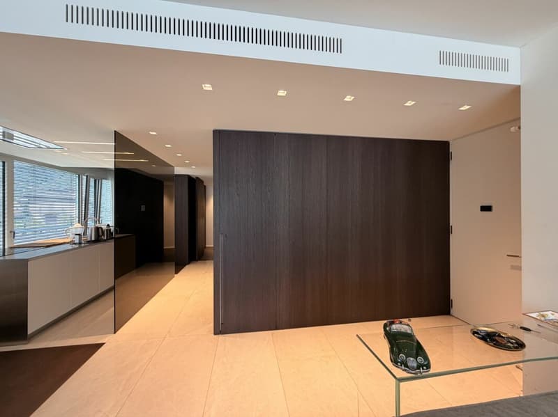 LUGANO - SUPER ATTICO DI RAPPRESENTANZA CON VISTA LAGO - PISCINA CONDOMINIALE NEL RESIDENCE CENTRAL PARK (5)