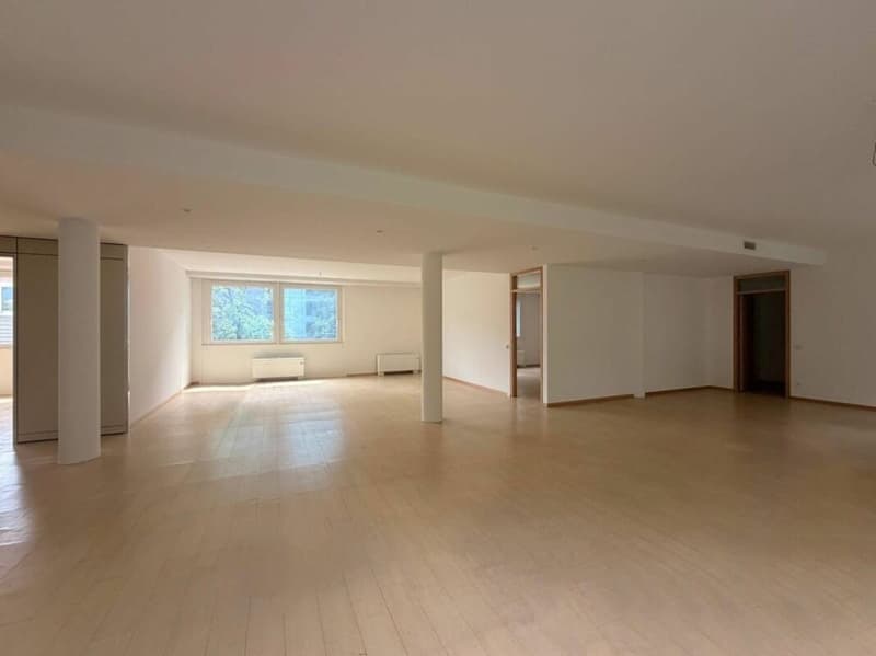 LUGANO · UFFICIO IN ZONA CENTRALISSIMA E DISPONIBILE DA SUBITO · 198 m2 (4)