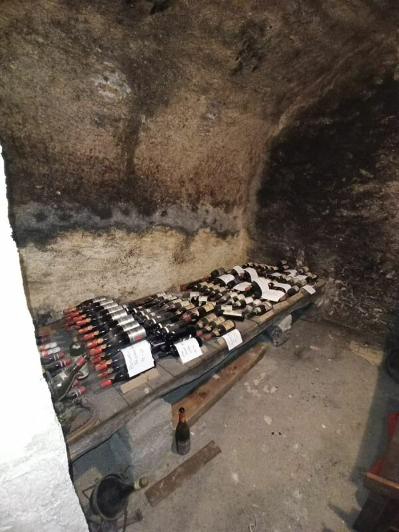 MELIDE · A HOME, A HISTORIC WINE CELLAR AND A WINE COLLECTION THAT STAYS (11)