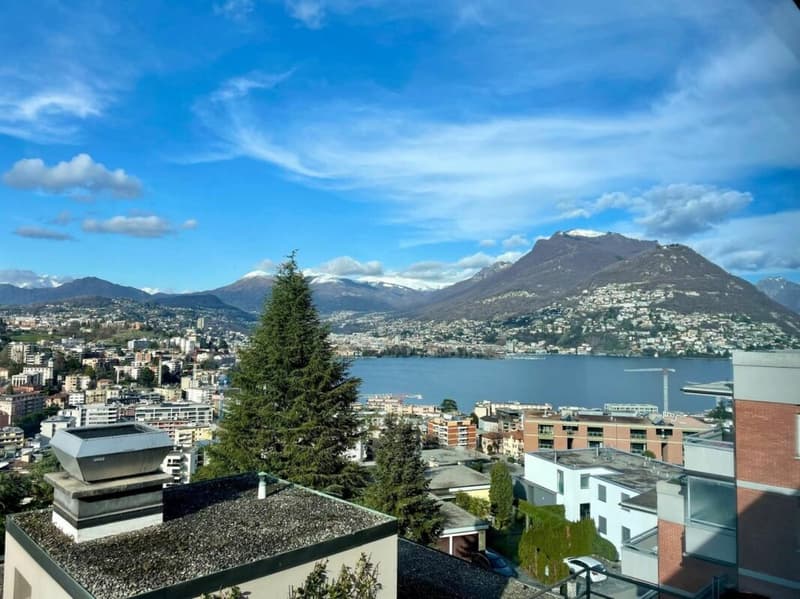 PARADISO · 3.5 LOCALI VISTA LAGO (5)