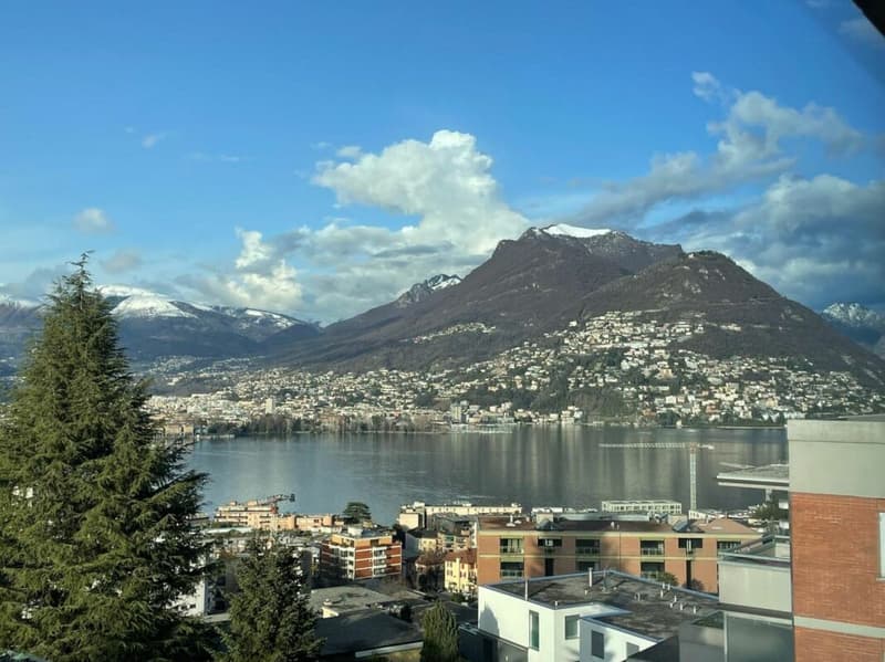 PARADISO · 3.5 LOCALI VISTA LAGO (3)