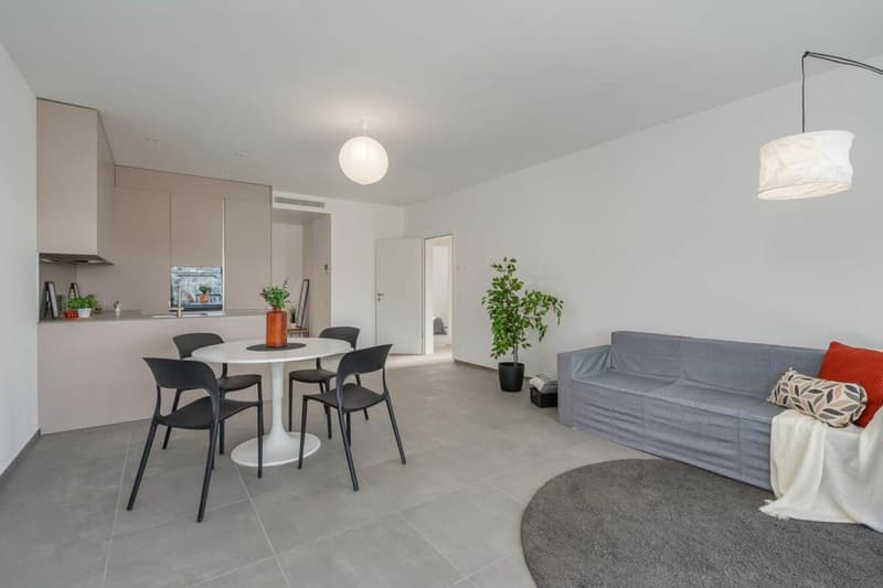 PREGASSONA · RENT TO BUY 3½ LOCALI  CON TERRAZZA COPERTA E GIARDINO (3)