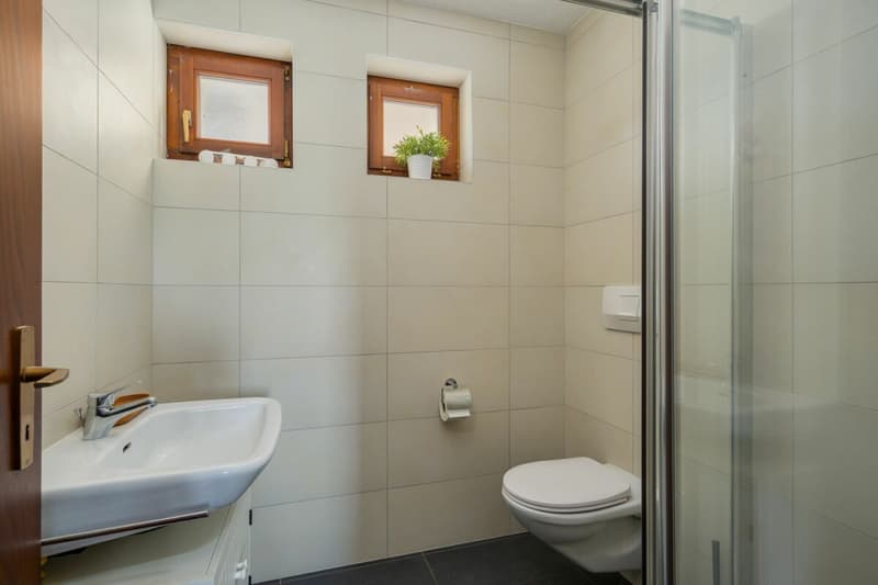 COLLINA D'ORO - HOUSE WITH GARDEN IN ONE OF THE MOST SOUGHT-AFTER AREAS OF LUGANO (4)