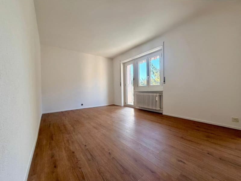 MASSAGNO - CERCHI UN 3.5 LOCALI RINNOVATO E CHIAVI IN MANO? (3)