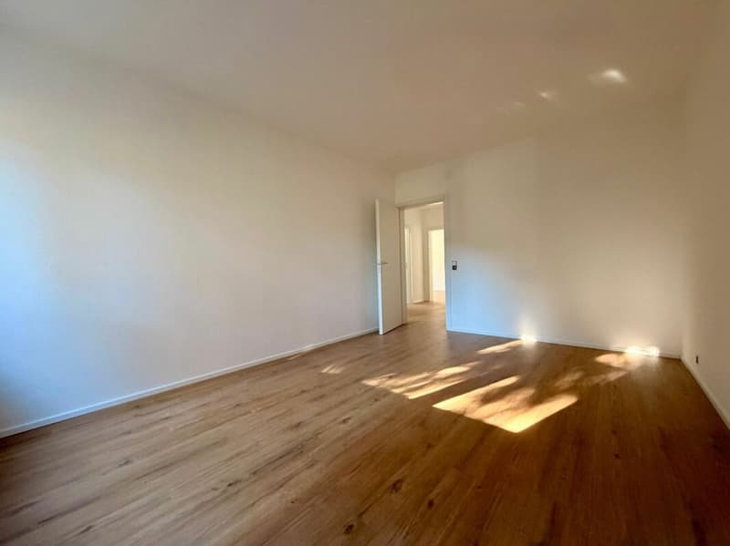 MASSAGNO - CERCHI UN 3.5 LOCALI RINNOVATO E CHIAVI IN MANO? (8)