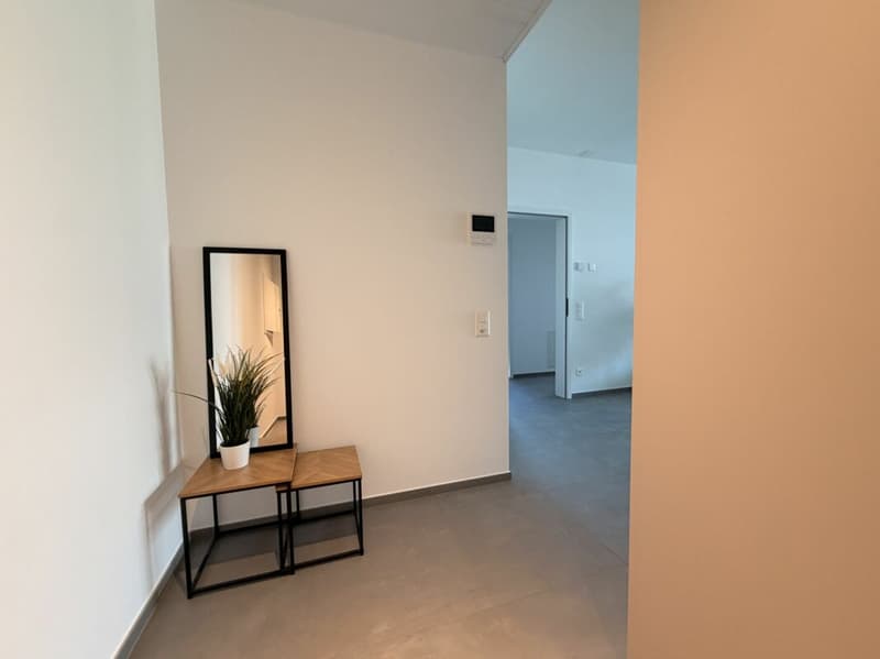 PREGASSONA · RENT TO BUY 3½ LOCALI CON TERRAZZA COPERTA E GIARDINO (3)
