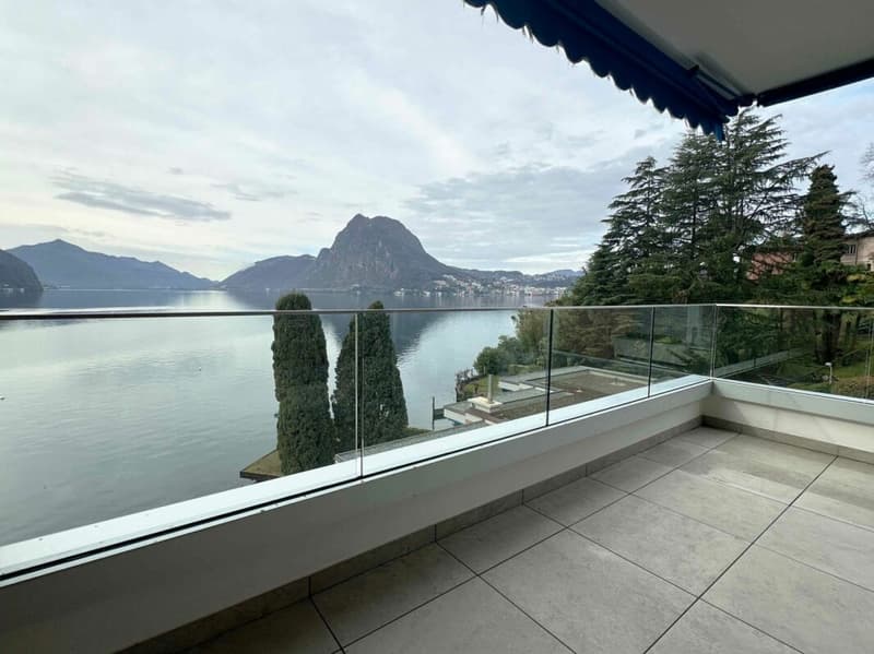 CASTAGNOLA - 3.5 ARREDATO - CON PISCINA E ACCESSO AL LAGO (8)