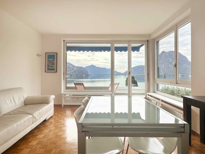 CASTAGNOLA - 3.5 ARREDATO - CON PISCINA E ACCESSO AL LAGO (4)