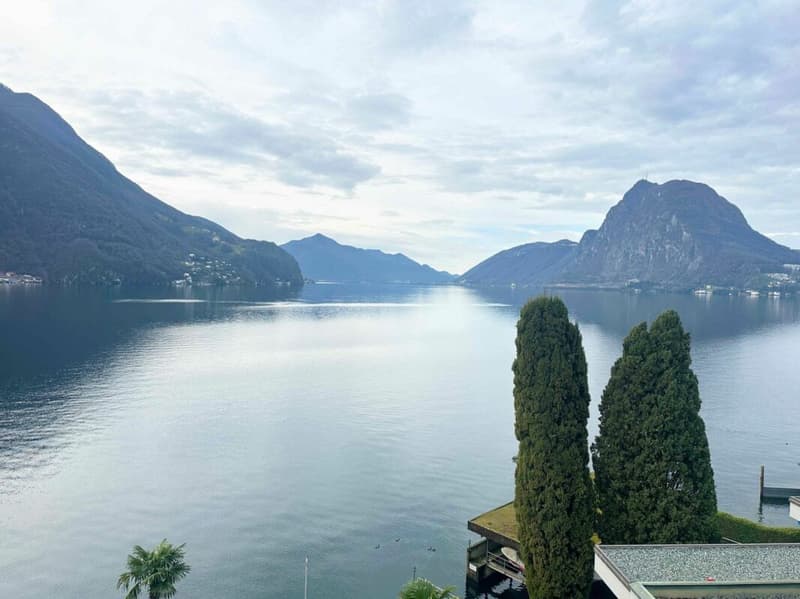 CASTAGNOLA - 3.5 ARREDATO - CON PISCINA E ACCESSO AL LAGO (9)
