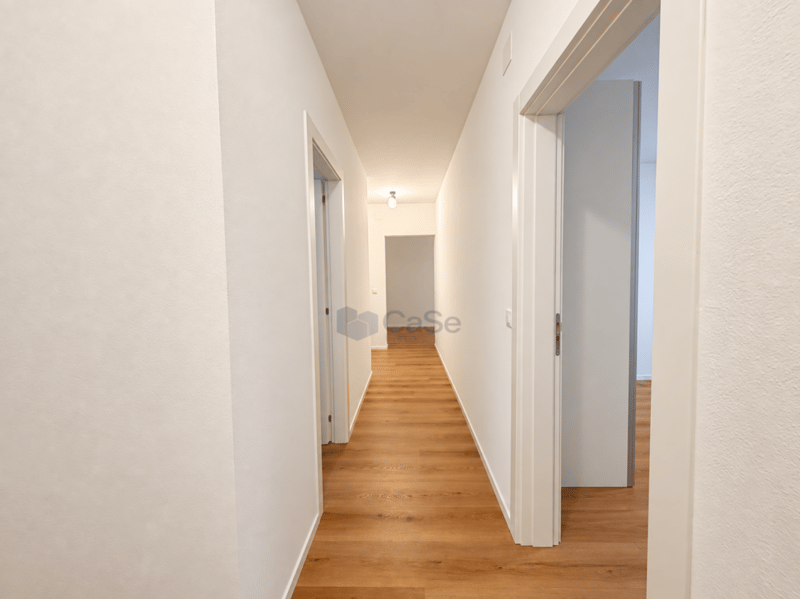 MASSAGNO - 4.5 RISTRUTTURATO - CHIAVI IN MANO (2)