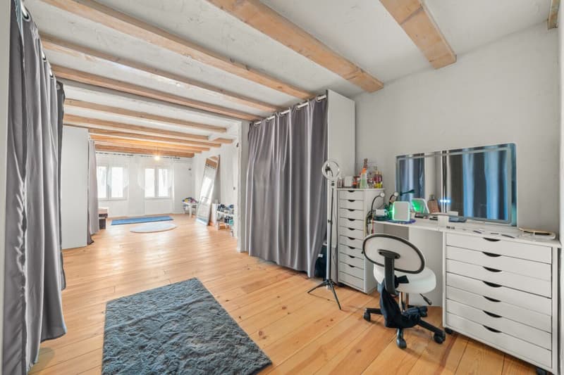 Spacieux duplex entièrement rénové avec grande terrasse extérieur (7)